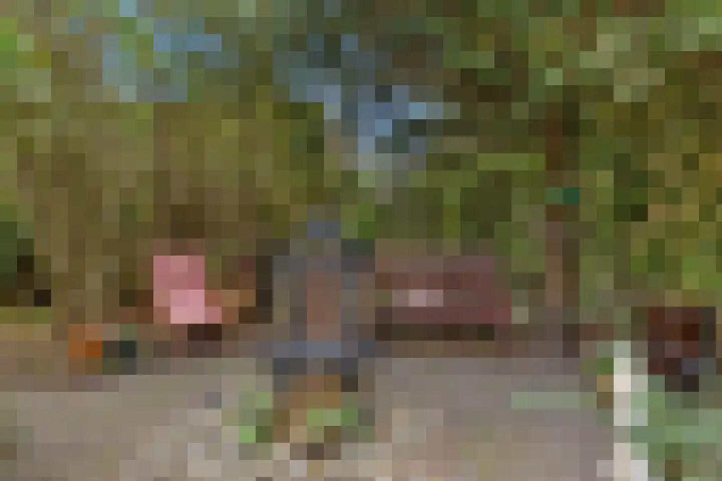 Strijkmolen 6 Schagen thumbnail 31