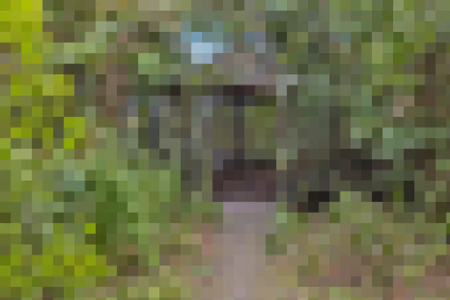 Strijkmolen 6 Schagen thumbnail 32