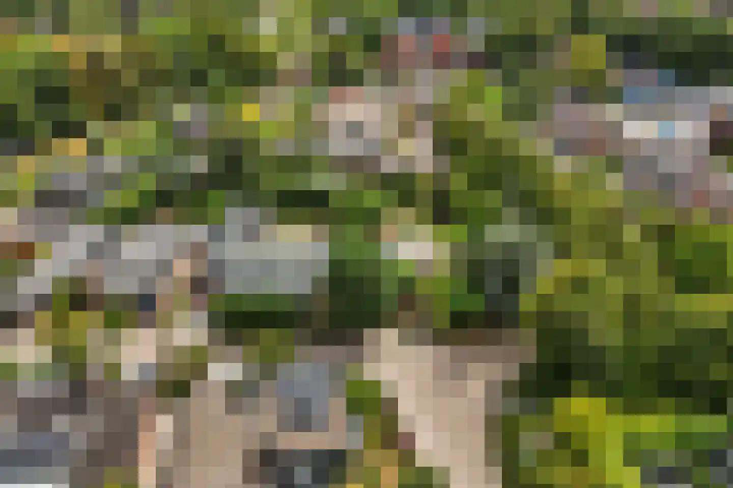 Strijkmolen 6 Schagen thumbnail 35