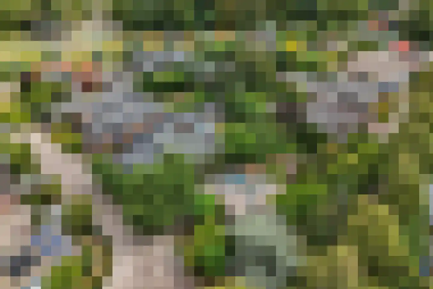 Strijkmolen 6 Schagen thumbnail 4