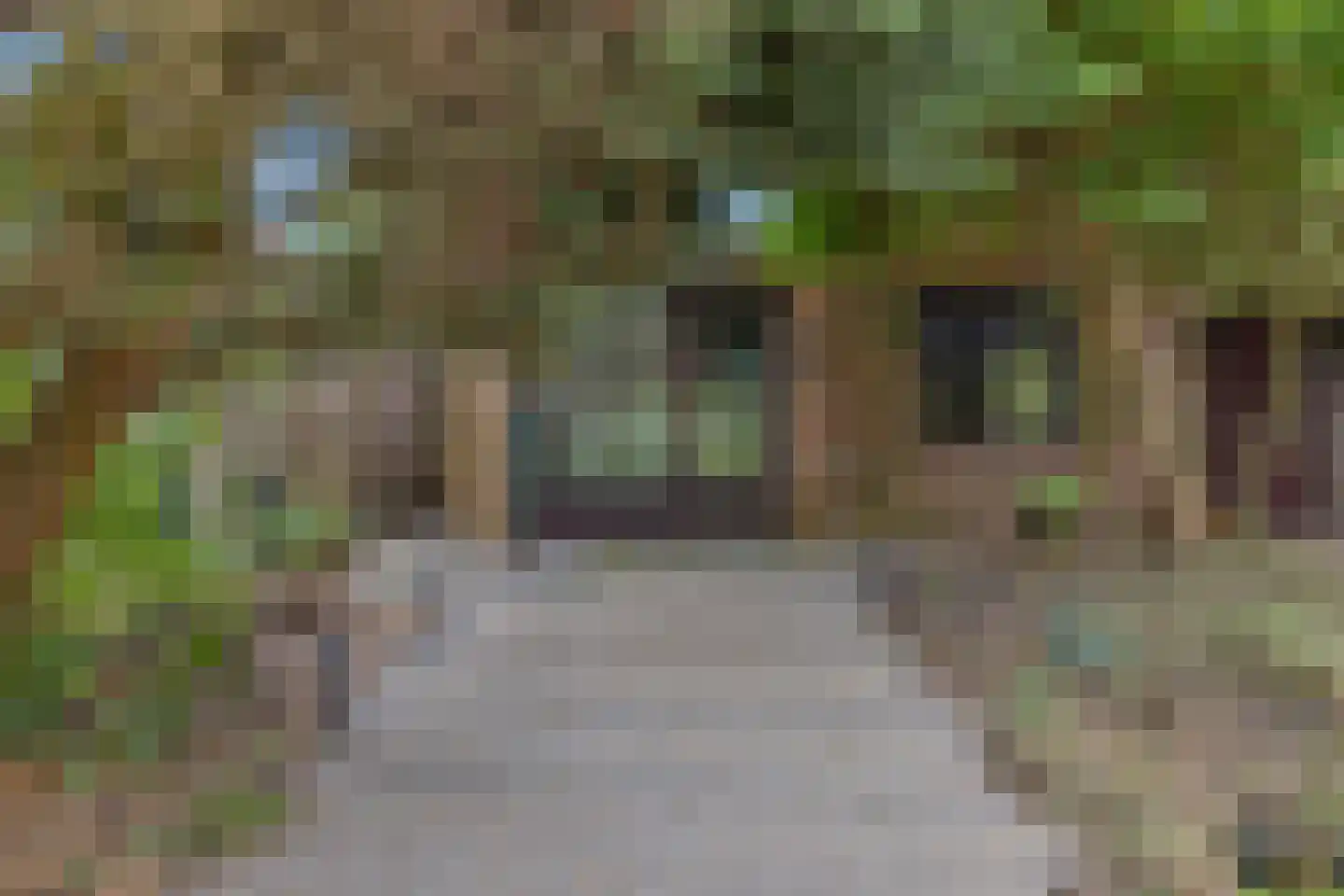 Strijkmolen 6 Schagen thumbnail 5