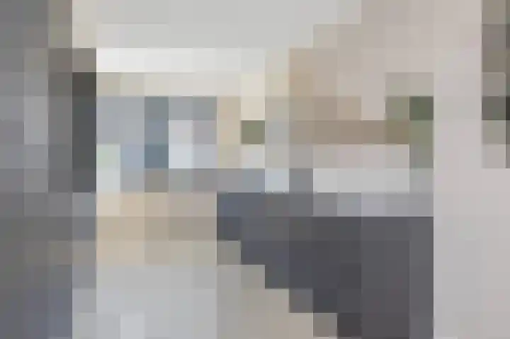Strijkmolen 7 Zwolle thumbnail 12