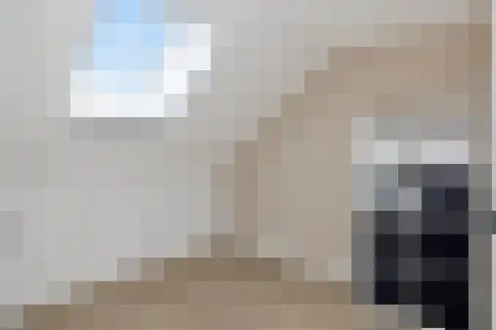 Strijkmolen 7 Zwolle thumbnail 32