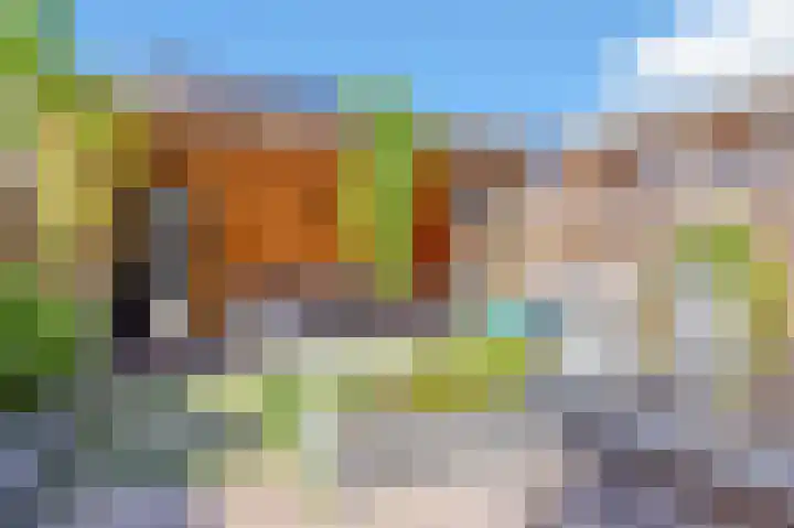 Strijkmolen 7 Zwolle thumbnail 34