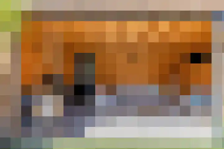 Strijkmolen 7 Zwolle thumbnail 35