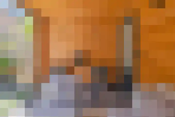 Strijkmolen 7 Zwolle thumbnail 37