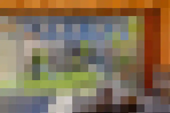 Strijkmolen 7 Zwolle thumbnail 38