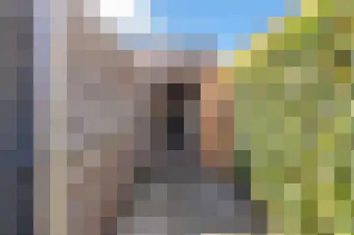 Strijkmolen 7 Zwolle thumbnail 41