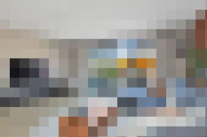 Strijkmolen 7 Zwolle thumbnail 7