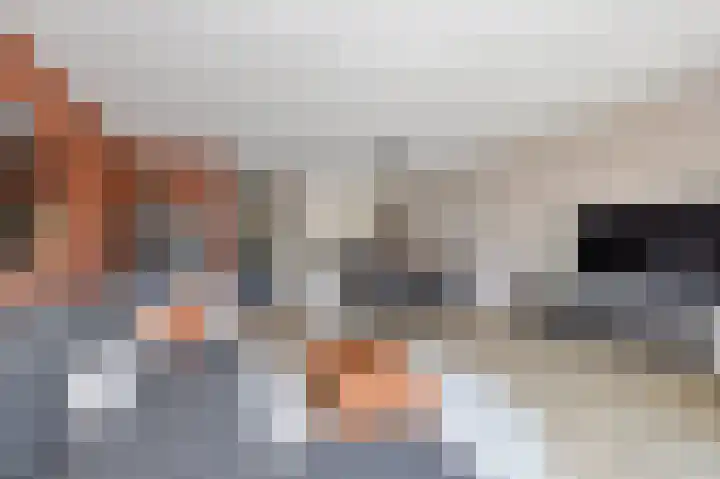 Strijkmolen 7 Zwolle thumbnail 9