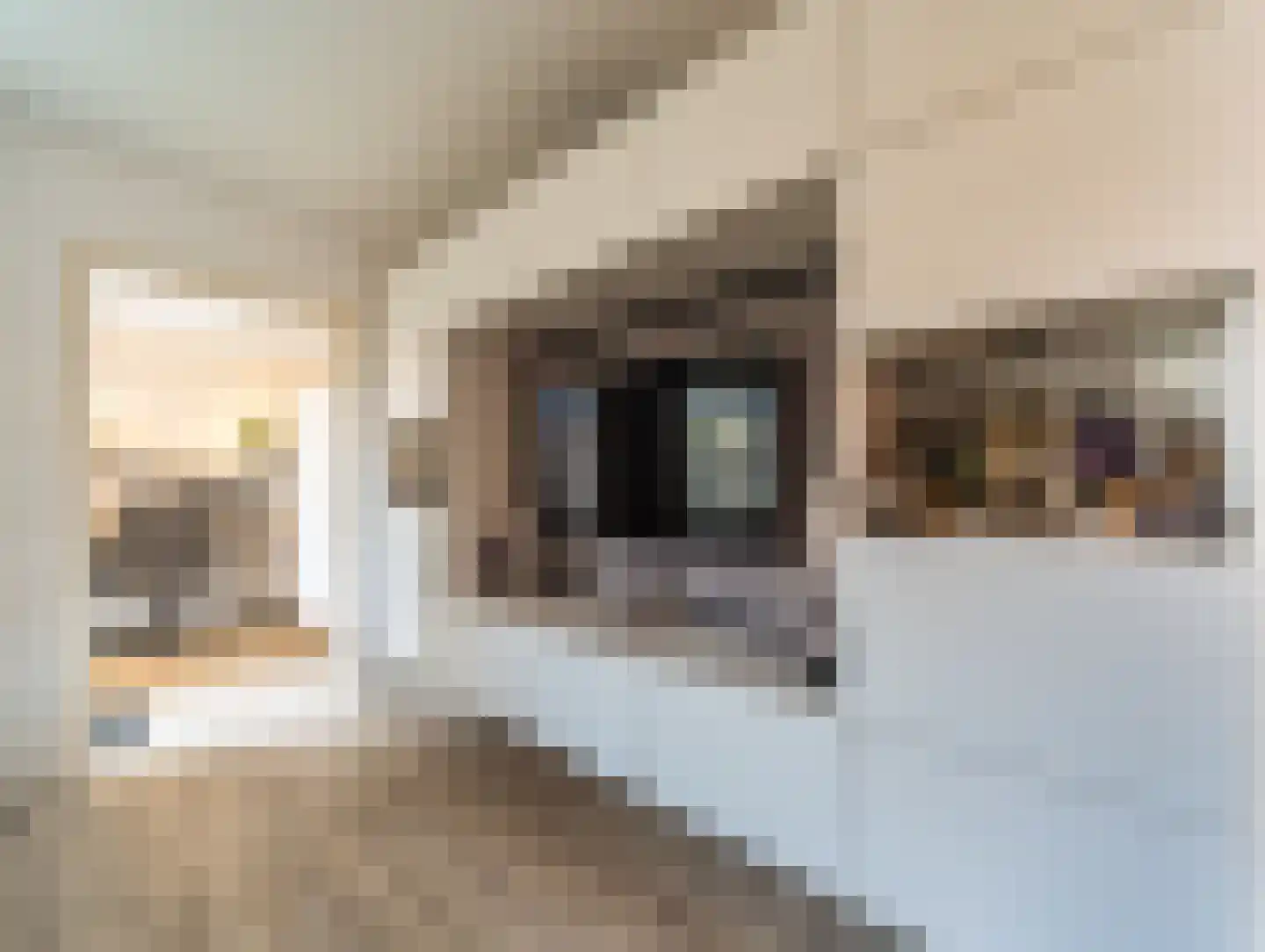 Strijkmolenstraat 28 Almere thumbnail 19