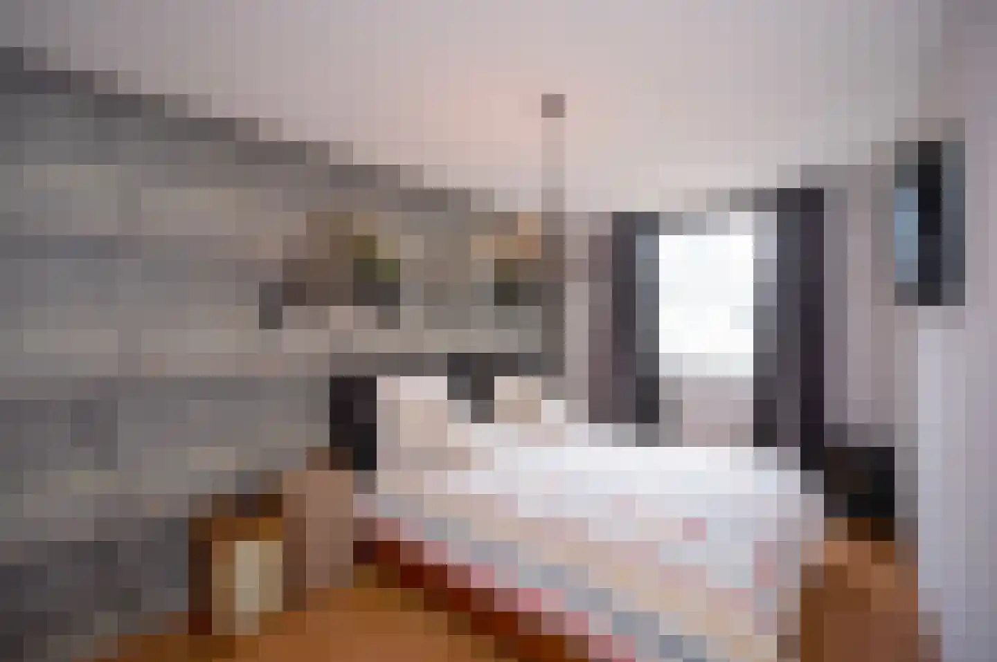 Strijkmolenstraat 95 Almere thumbnail 20