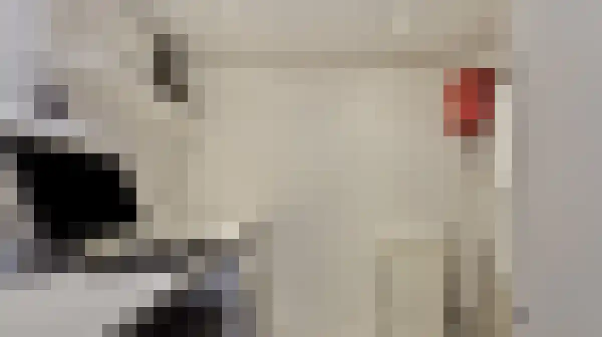 Strijlant 38 Eindhoven thumbnail 6