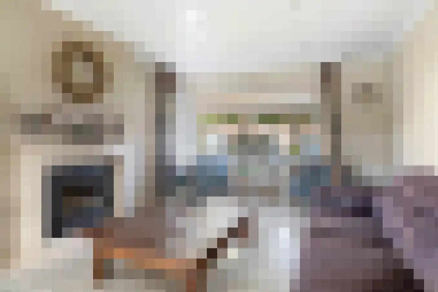 Strijmondlaan 8 Oudenbosch thumbnail 14
