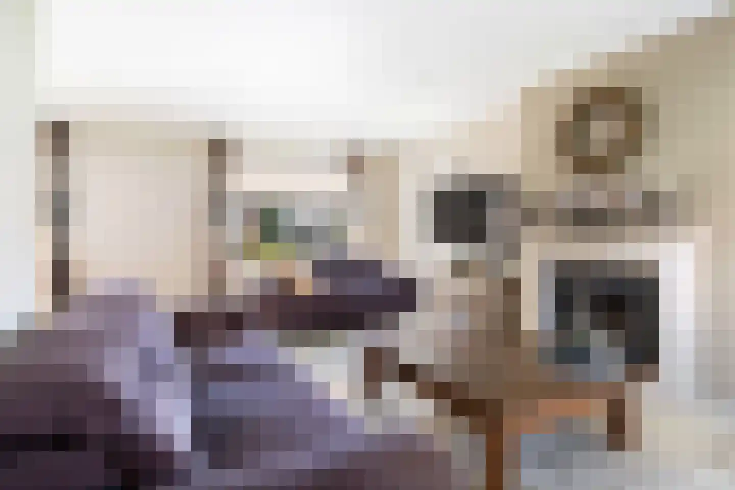 Strijmondlaan 8 Oudenbosch thumbnail 15