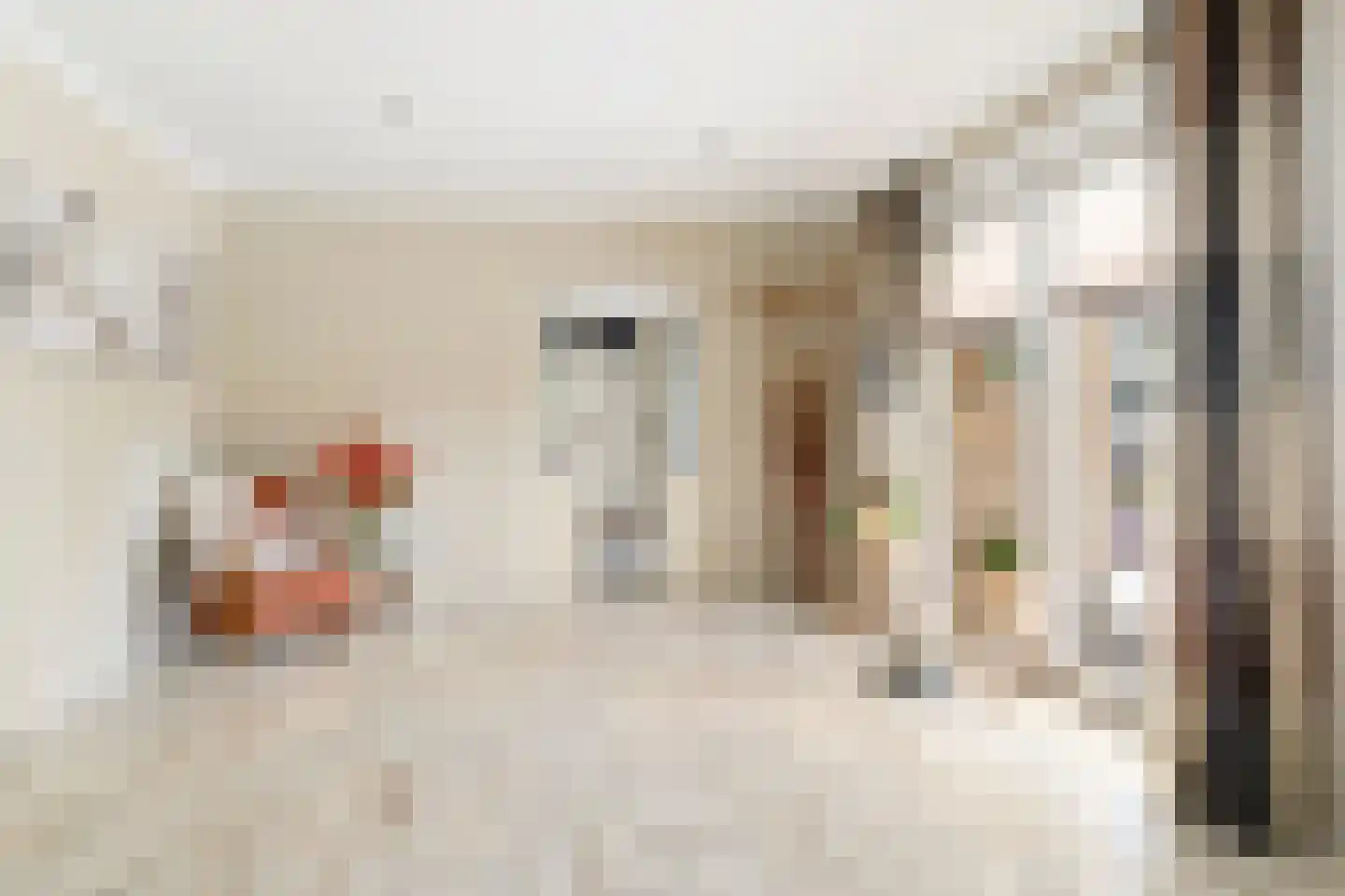 Strijmondlaan 8 Oudenbosch thumbnail 17