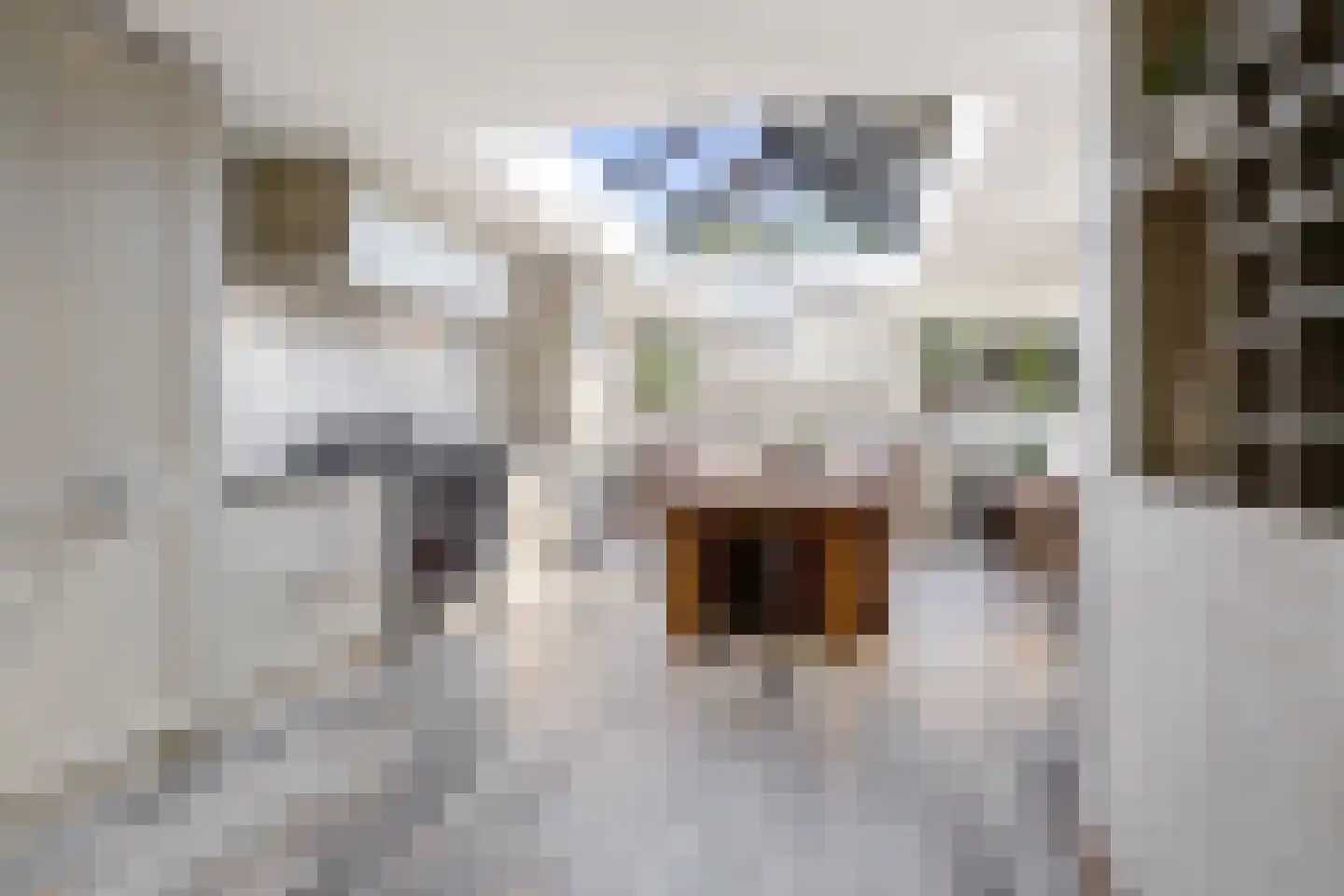 Strijmondlaan 8 Oudenbosch thumbnail 20