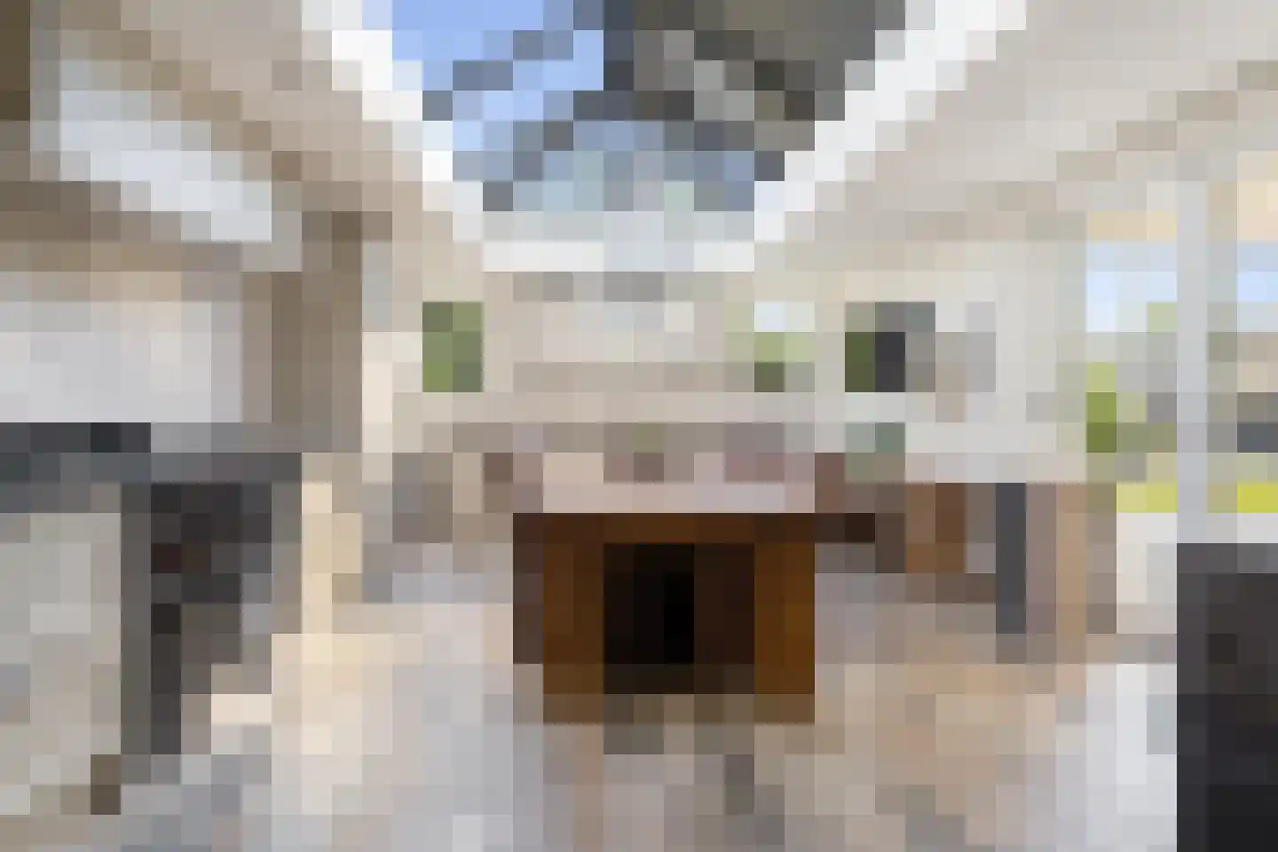 Strijmondlaan 8 Oudenbosch thumbnail 21