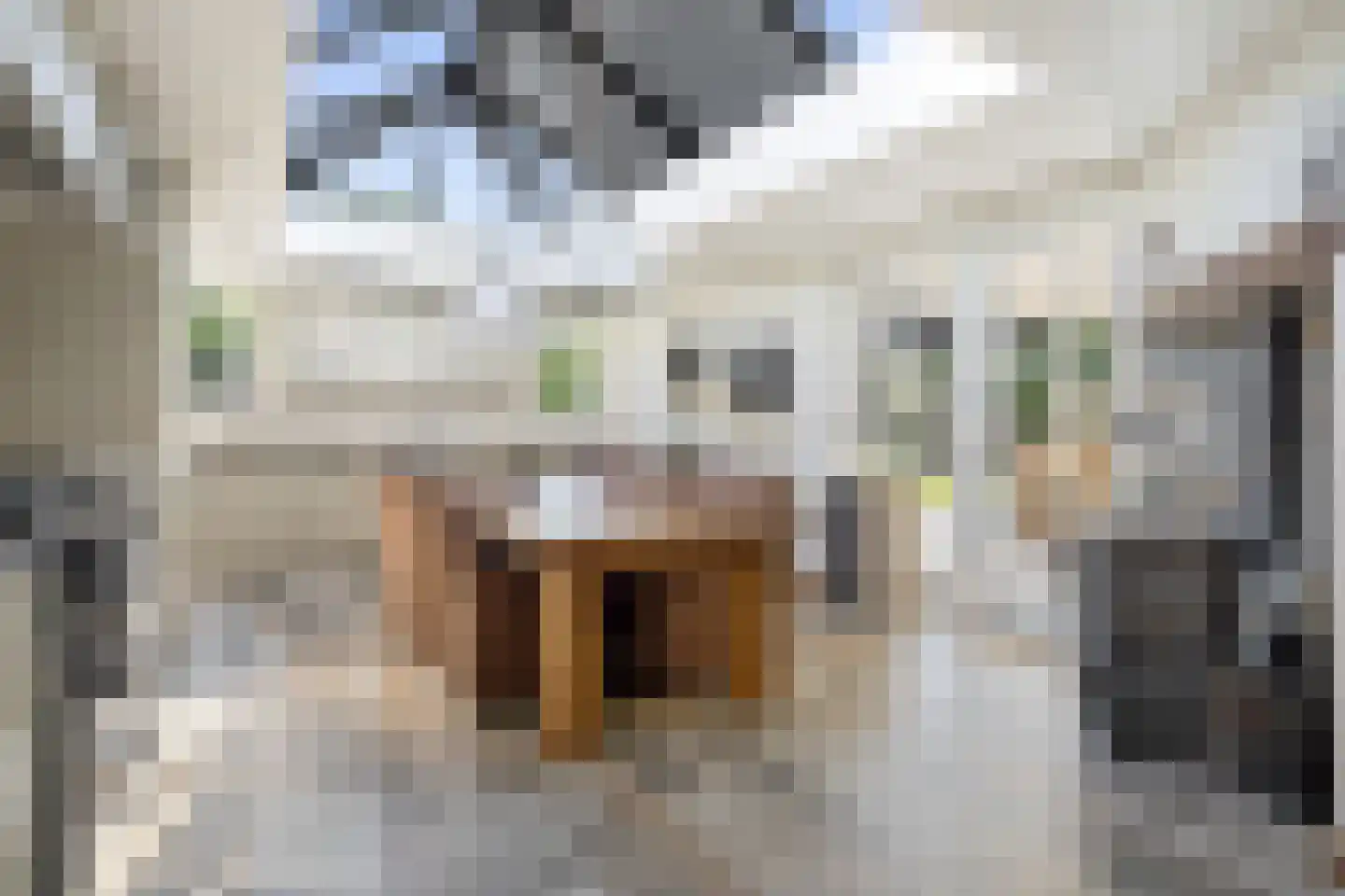 Strijmondlaan 8 Oudenbosch thumbnail 22