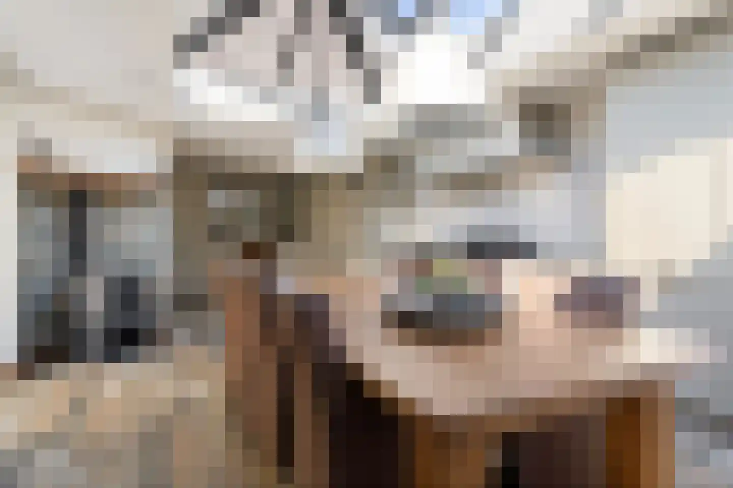 Strijmondlaan 8 Oudenbosch thumbnail 25