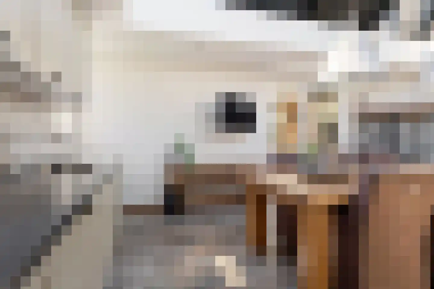 Strijmondlaan 8 Oudenbosch thumbnail 26