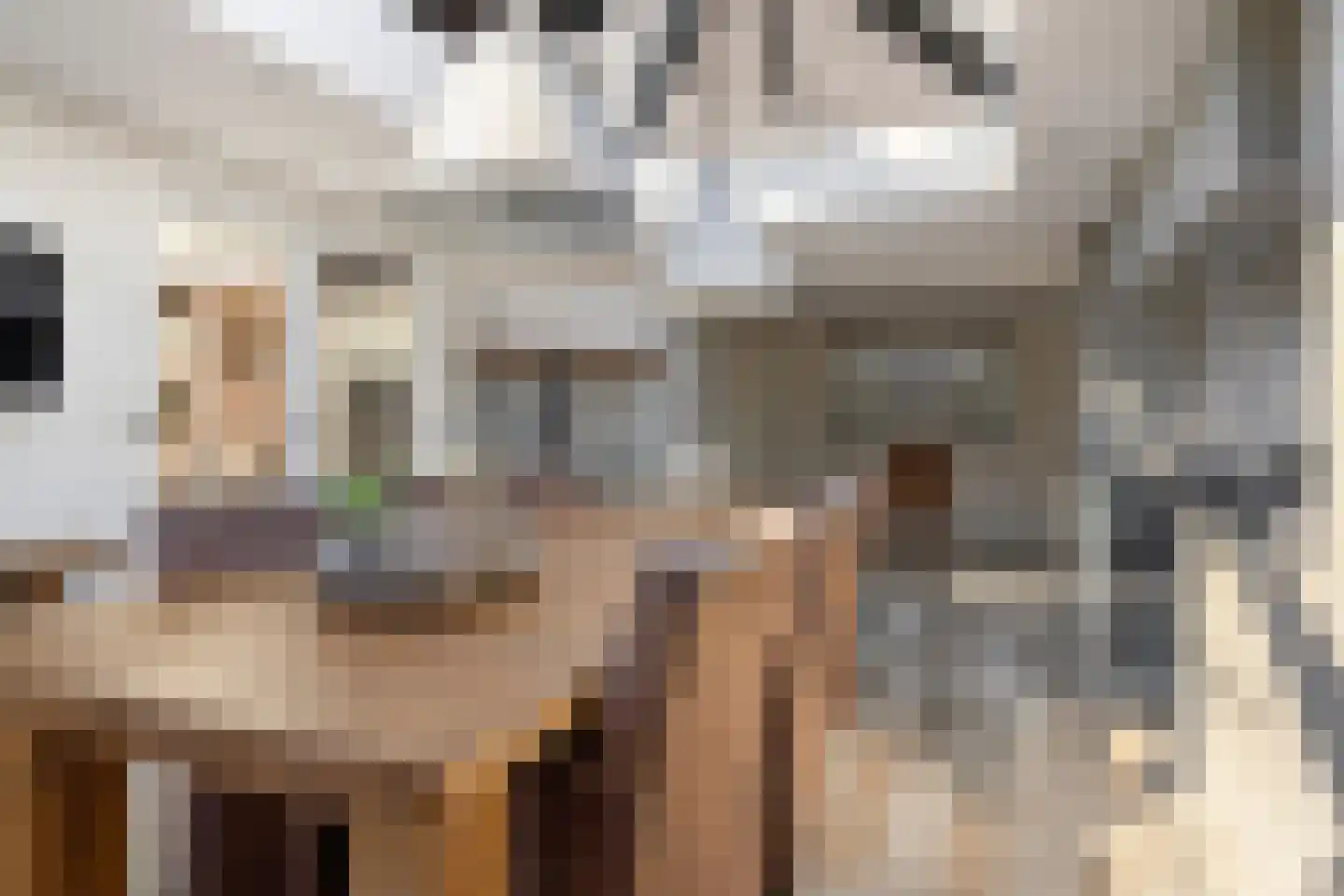 Strijmondlaan 8 Oudenbosch thumbnail 27
