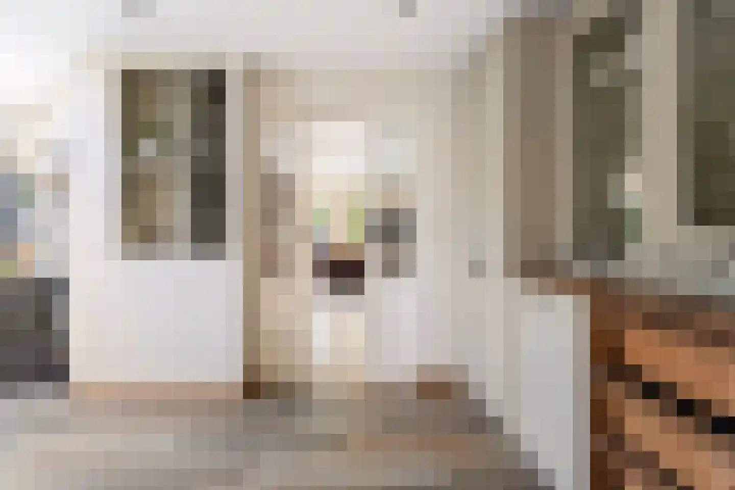 Strijmondlaan 8 Oudenbosch thumbnail 29