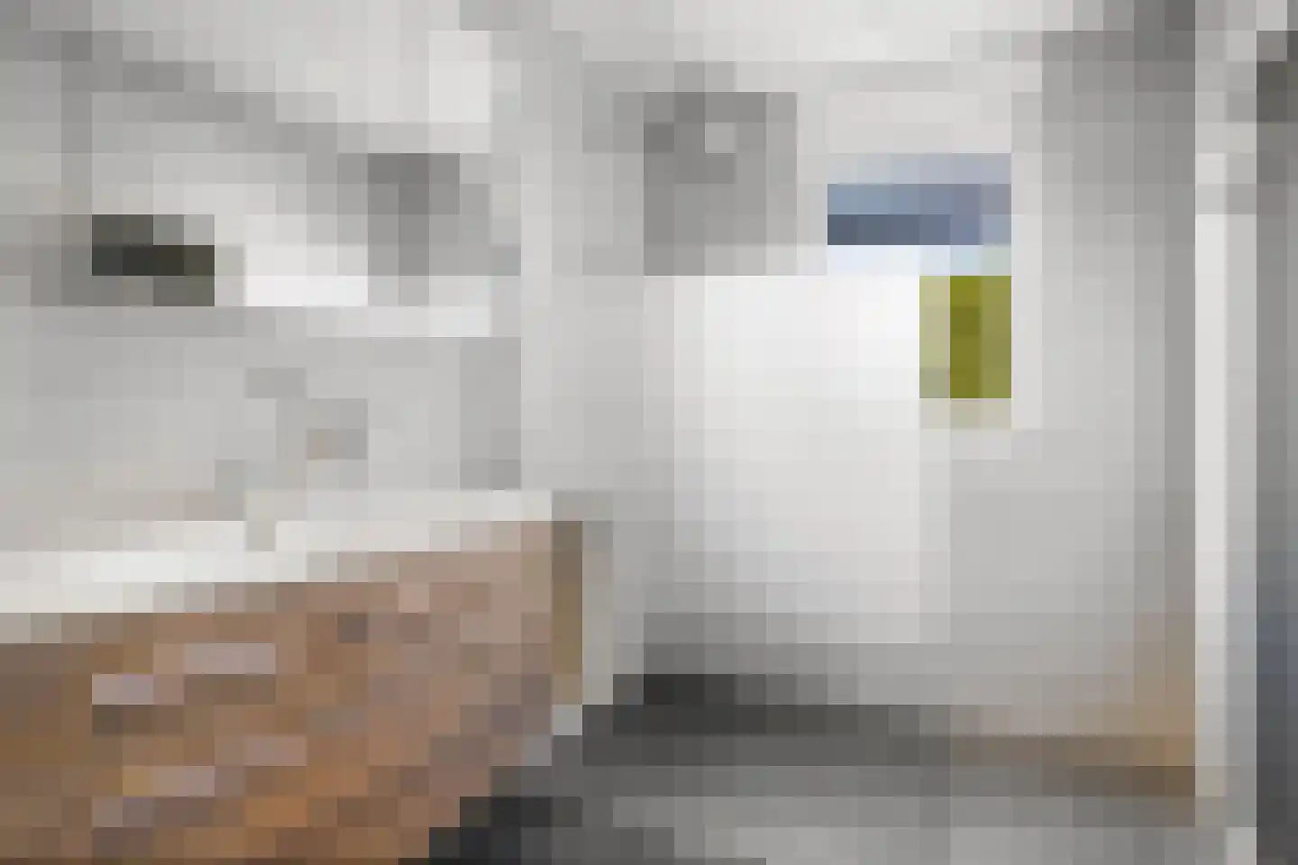 Strijmondlaan 8 Oudenbosch thumbnail 31