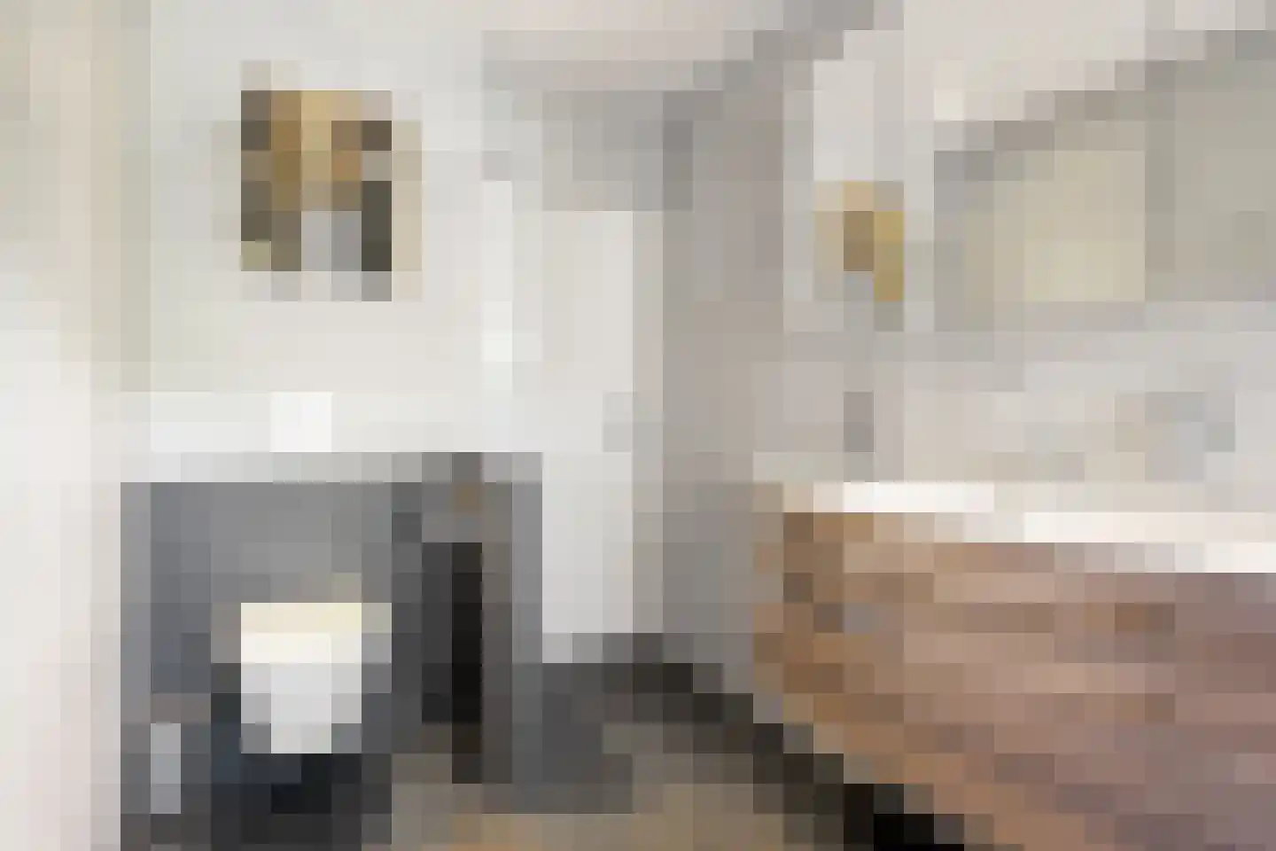 Strijmondlaan 8 Oudenbosch thumbnail 32
