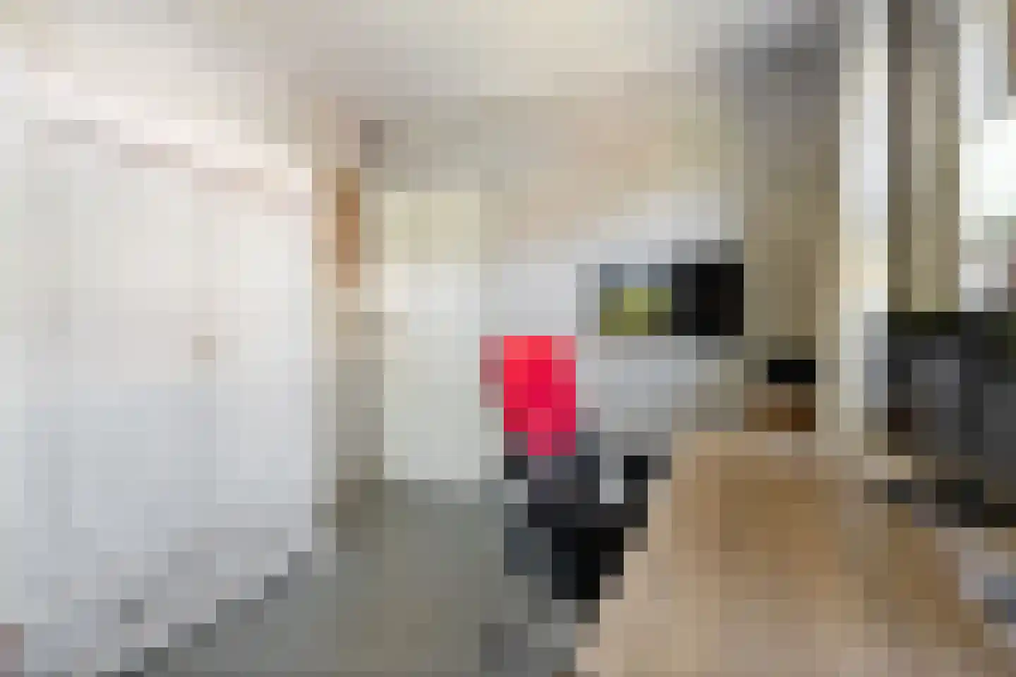 Strijmondlaan 8 Oudenbosch thumbnail 35
