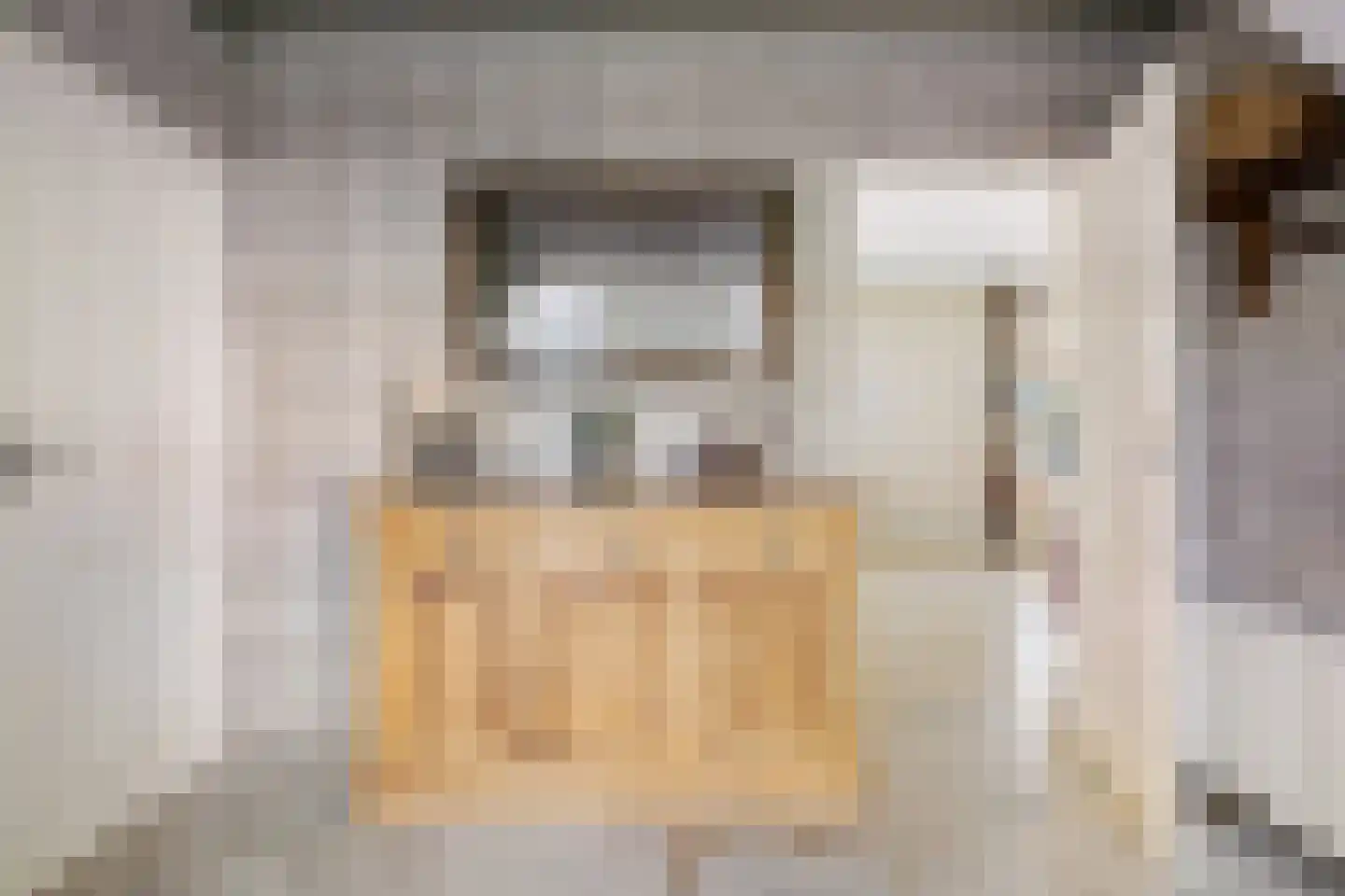 Strijmondlaan 8 Oudenbosch thumbnail 36