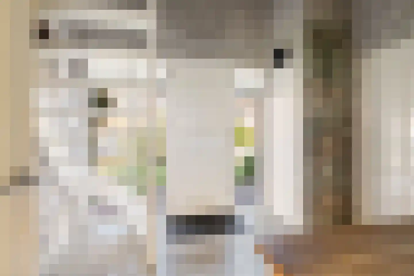 Strijmondlaan 8 Oudenbosch thumbnail 37