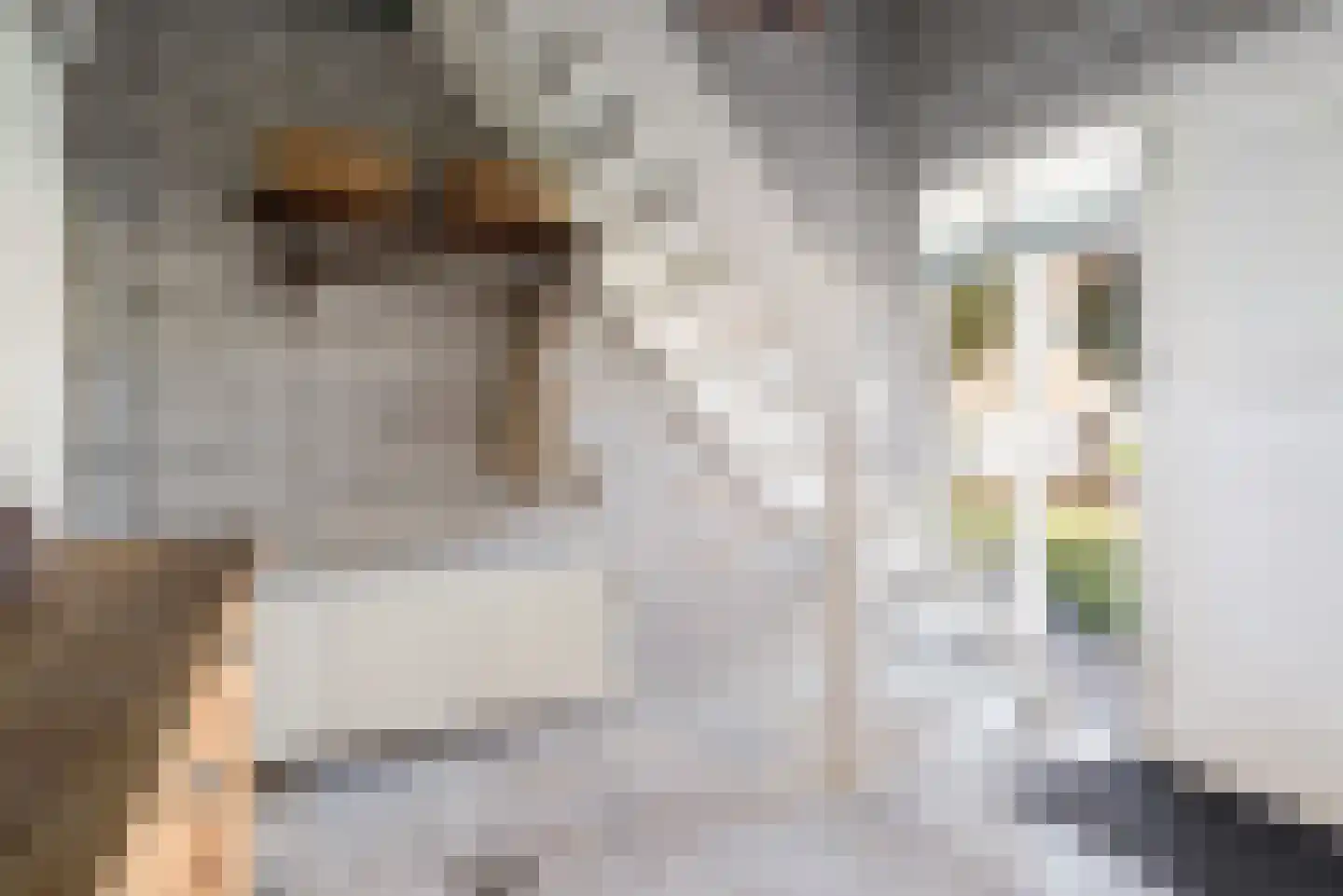 Strijmondlaan 8 Oudenbosch thumbnail 38