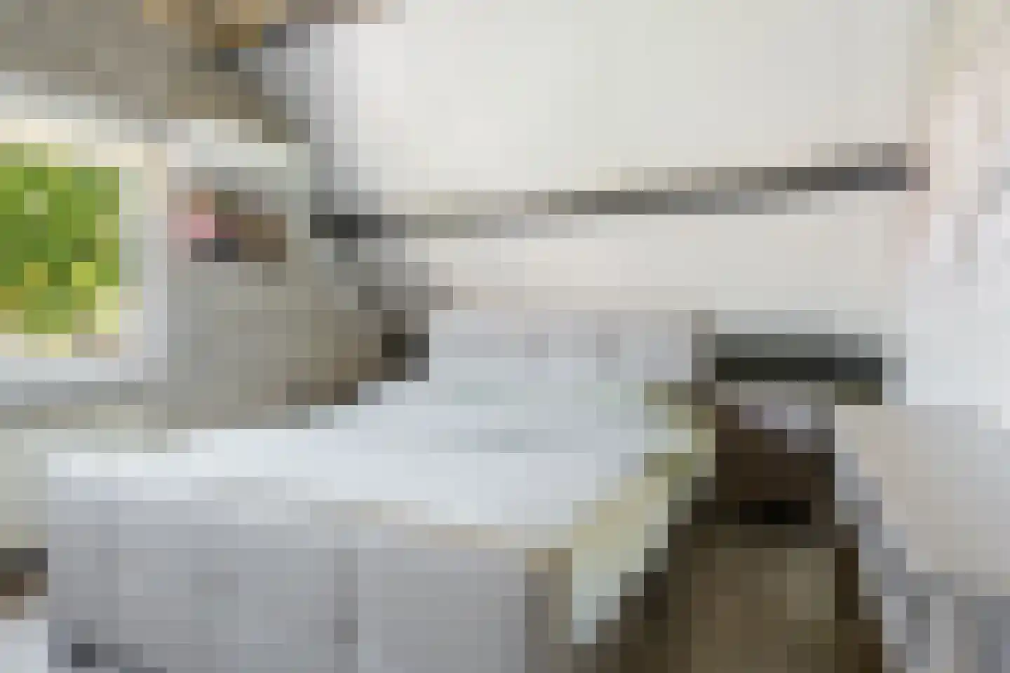 Strijmondlaan 8 Oudenbosch thumbnail 42