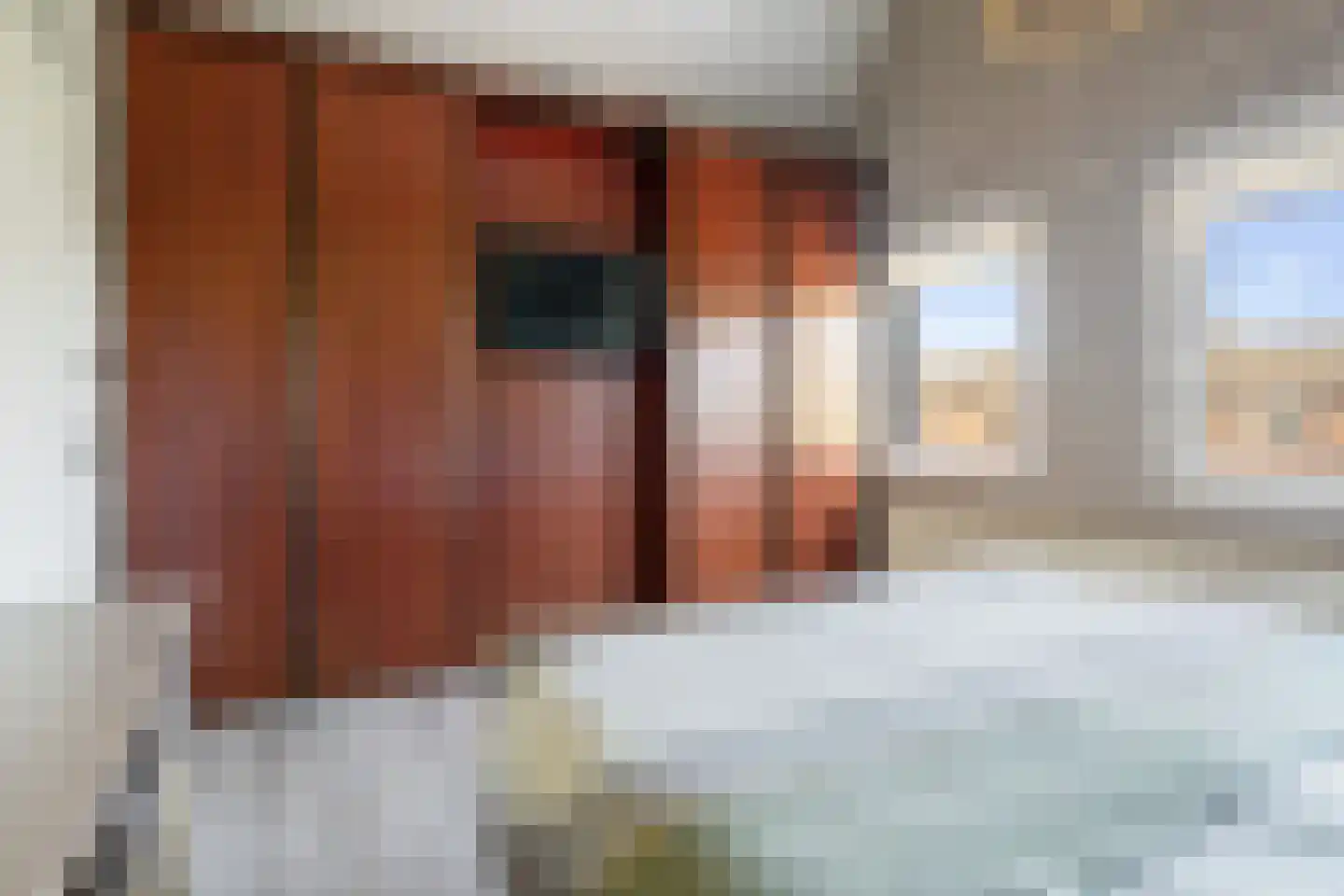 Strijmondlaan 8 Oudenbosch thumbnail 43