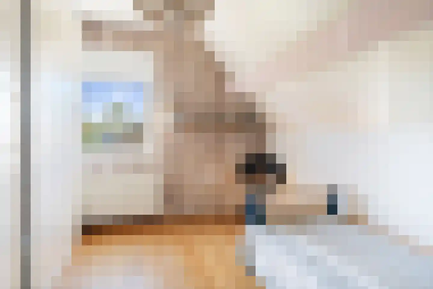 Strijmondlaan 8 Oudenbosch thumbnail 47