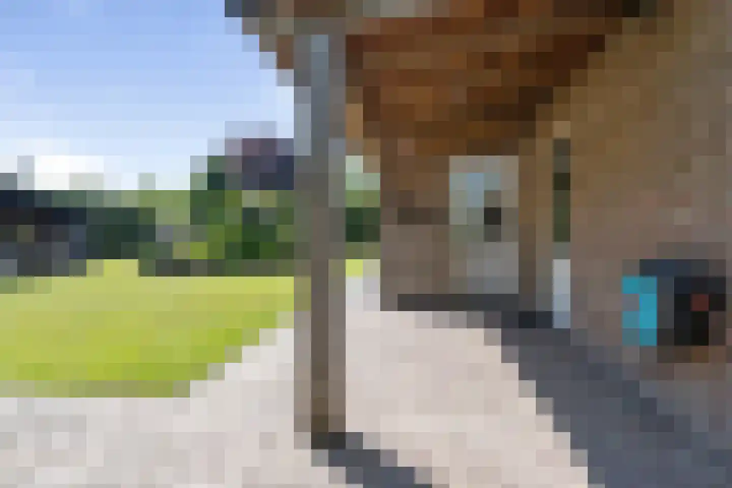 Strijmondlaan 8 Oudenbosch thumbnail 53