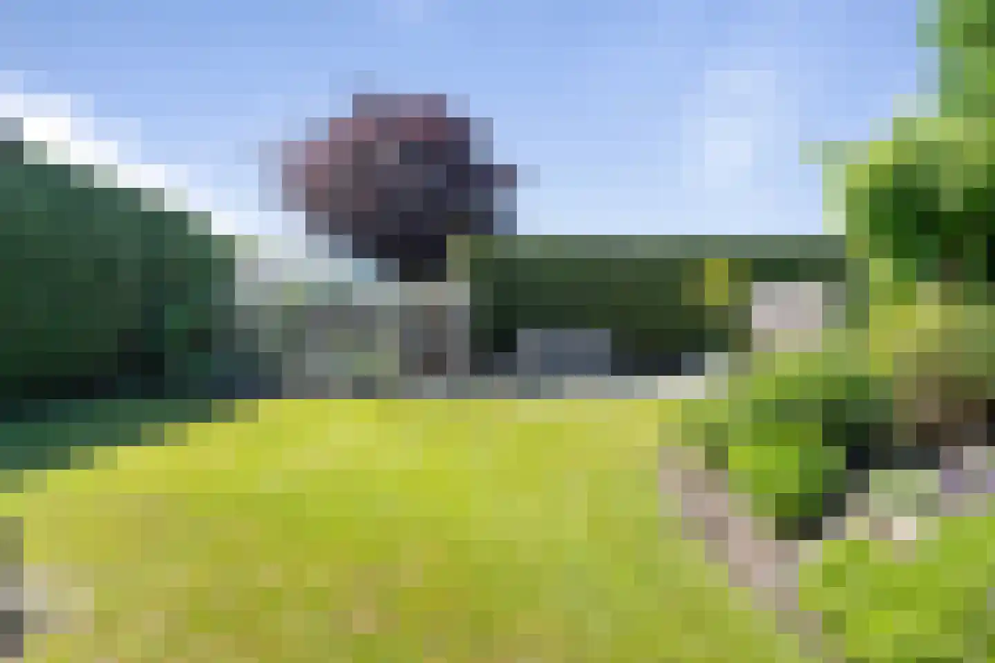 Strijmondlaan 8 Oudenbosch thumbnail 58