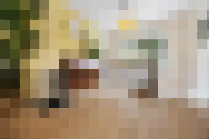 Strijp 3 De Lier foto 3