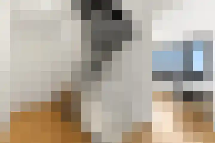Strijp 3 De Lier thumbnail 33