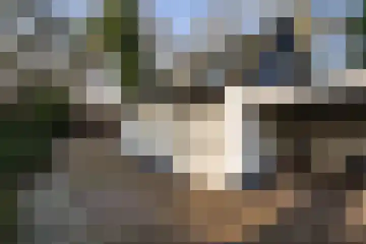 Strijp 3 De Lier thumbnail 46