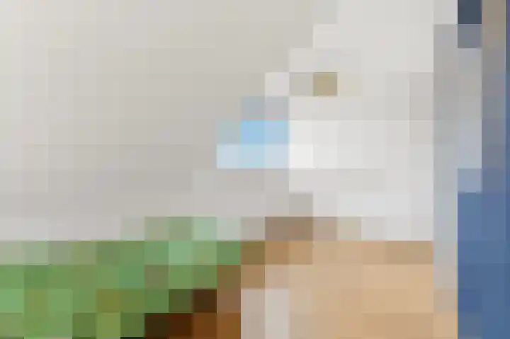 Strijp 3 De Lier thumbnail 53