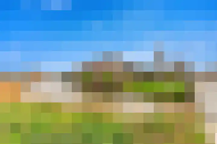 Strijp 3 De Lier thumbnail 62