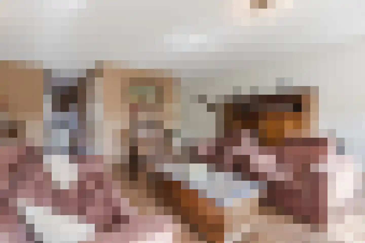 Strijp 30 Wouw thumbnail 21