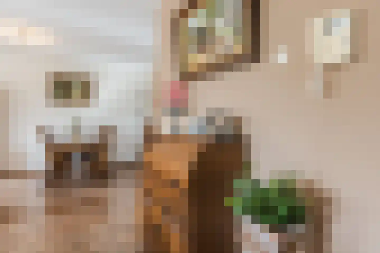 Strijp 30 Wouw thumbnail 23