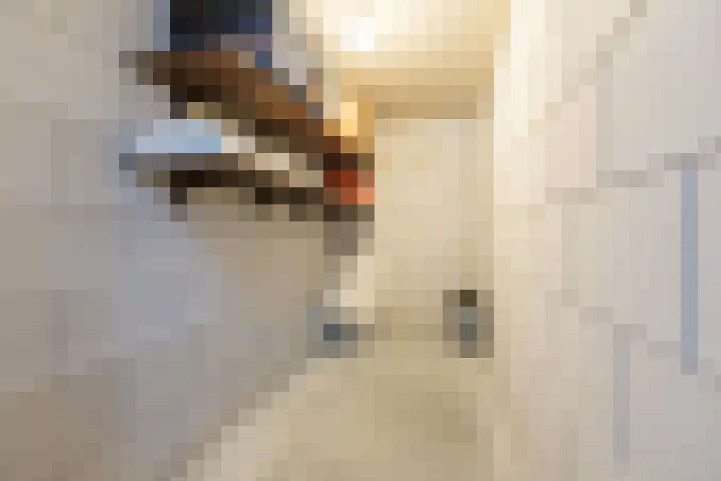 Strijp 30 Wouw thumbnail 47