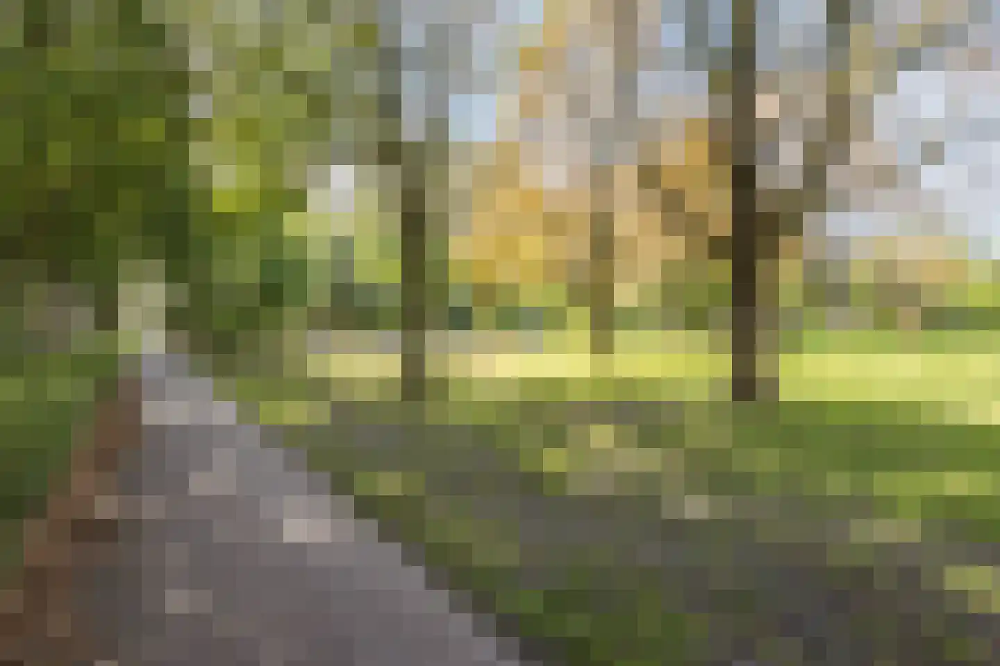 Strijp 30 Wouw thumbnail 52