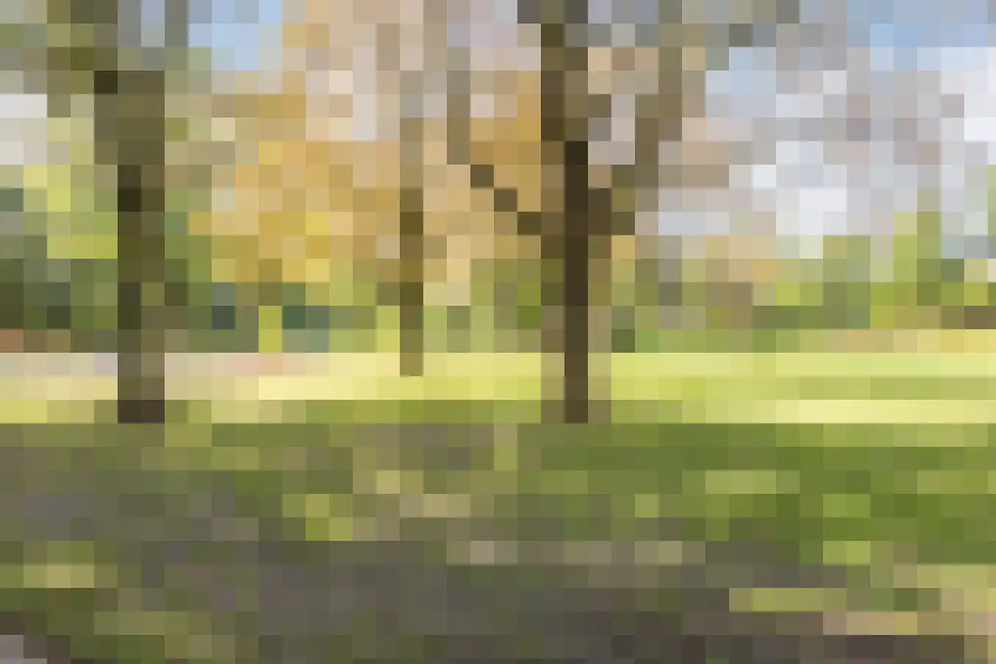 Strijp 30 Wouw thumbnail 53