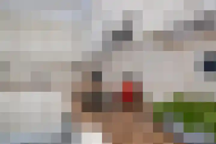 Strijp 4 Wouw thumbnail 13