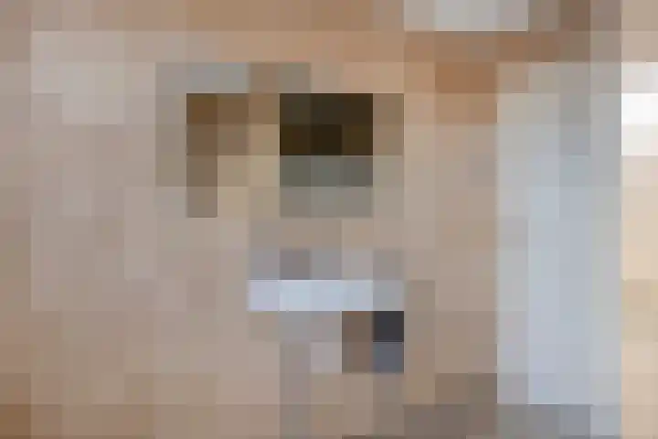 Strijp 4 Wouw thumbnail 24